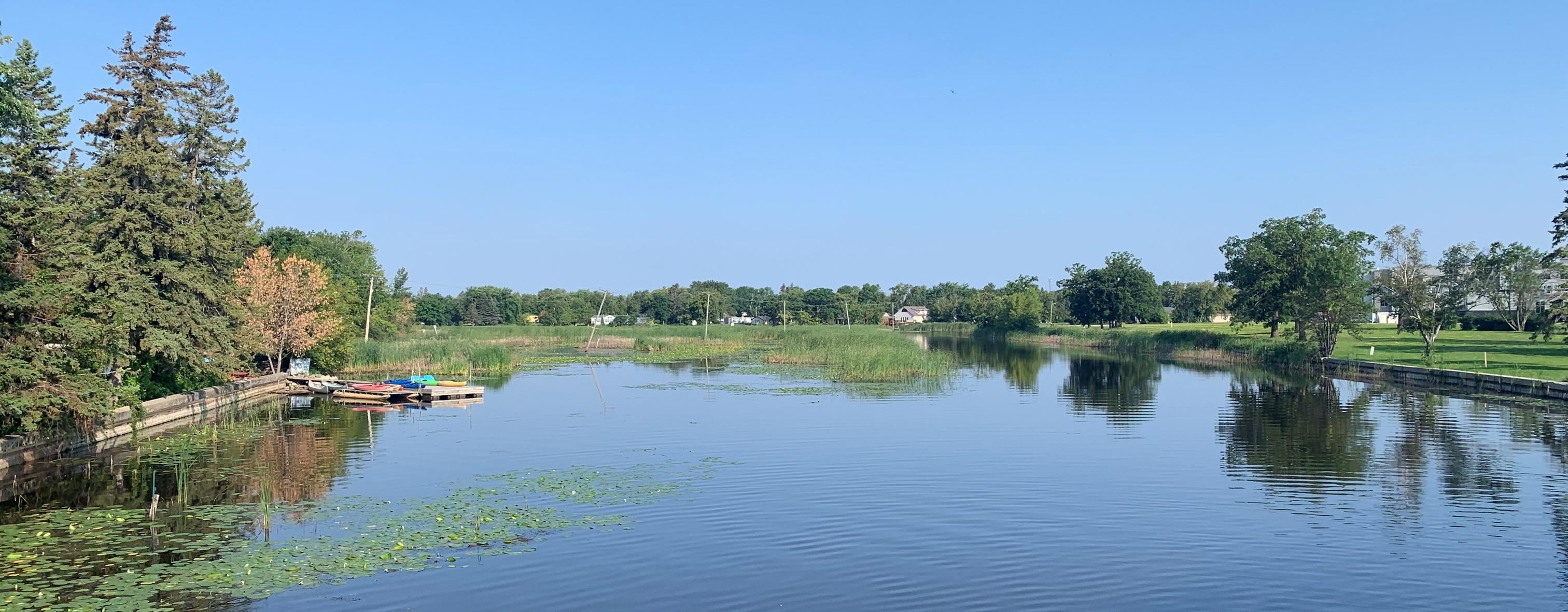 picture of river with trees along shore line